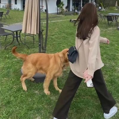 爱情无间道